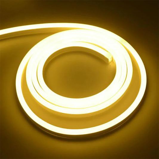 LED flexible en néon de 12V 5M